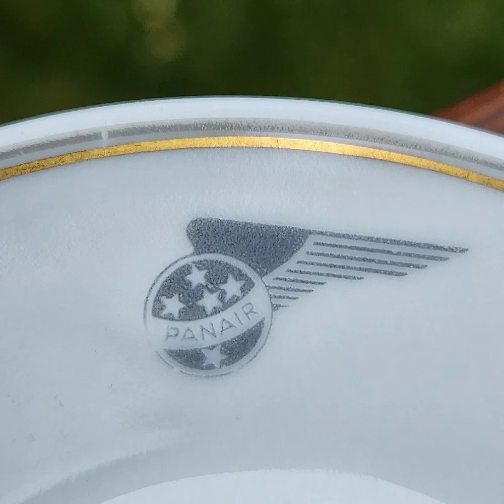 RARE Rosenthal Porcelain Panair Wing Logo Brazil Airline Demitasse Cup & Saucer